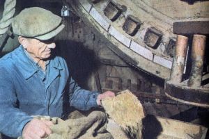 André Darré, meunier du moulin de Coquelles en 1966 André Darré, meunier du moulin de Coquelles en 1966
