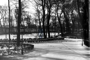 Le parc est sous la neige. Le parc est sous la neige.