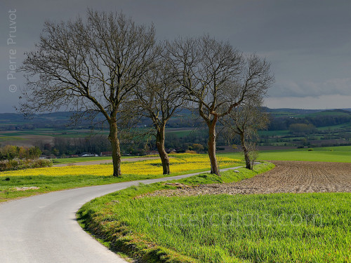 Vue sur la vallée de la Hem depuis Licques
