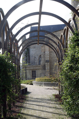 Les arceaux dans le jardin