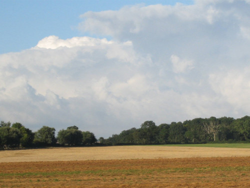 Vue sur la campagne et la forêt d'Éperlecques